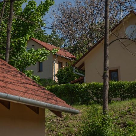 Tulipan Apartman エゲル エクステリア 写真
